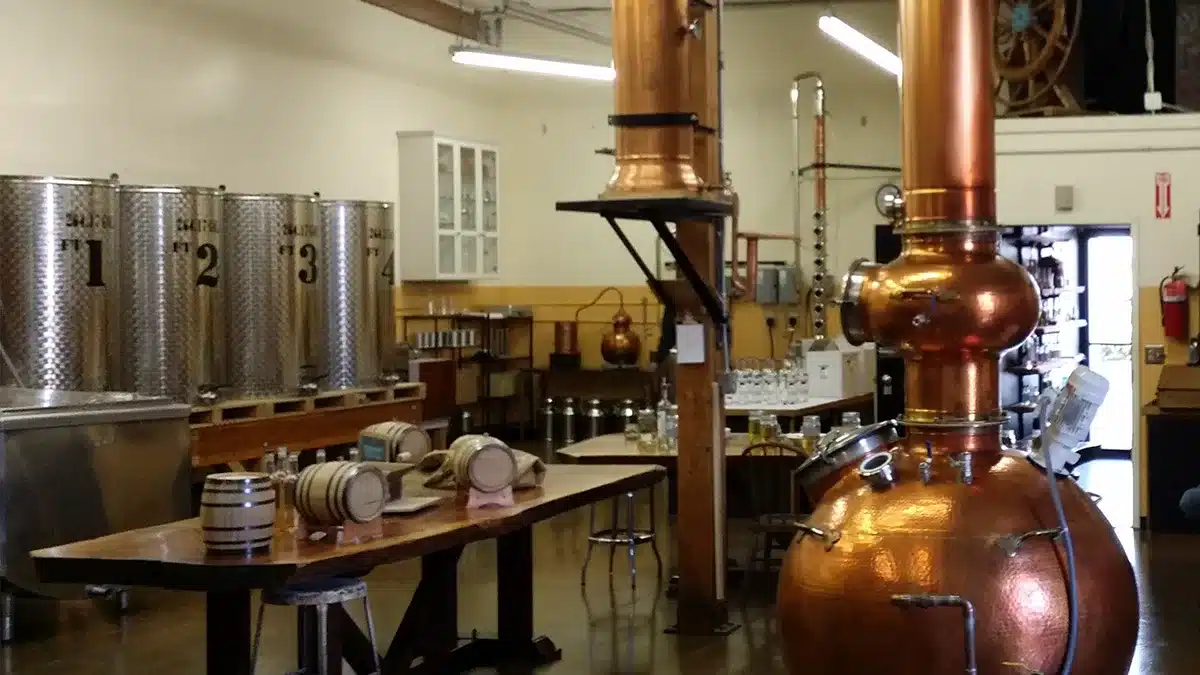 How Do Distilleries Work? Behind The Scenes At Blackfish