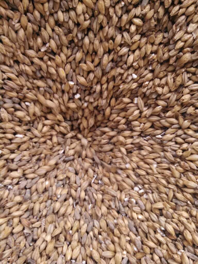 Blackfish, How do distilleries work? 2 grain and more grain