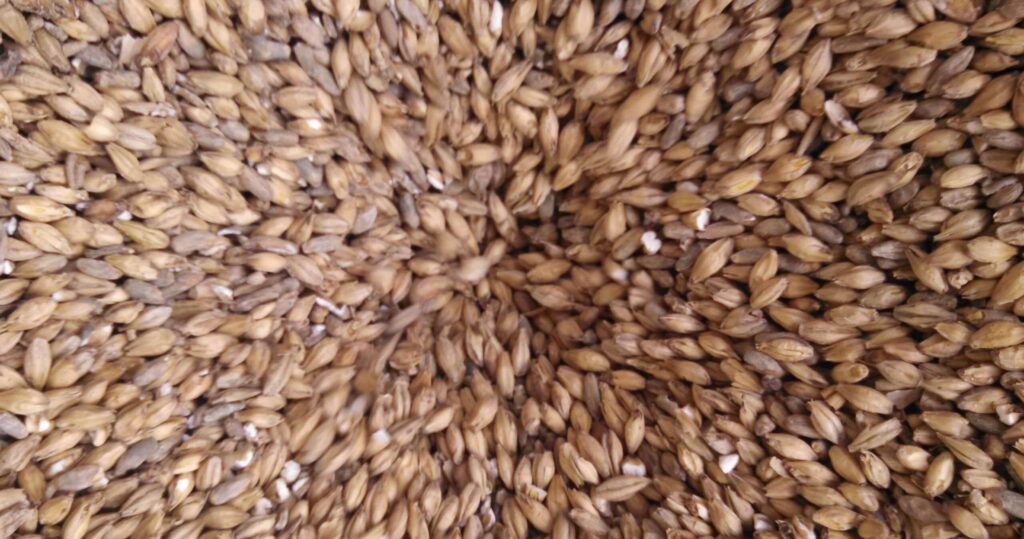 About Us - Distillery Tour 3 grain and more grain