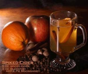a glass of hot drink with oranges and spices